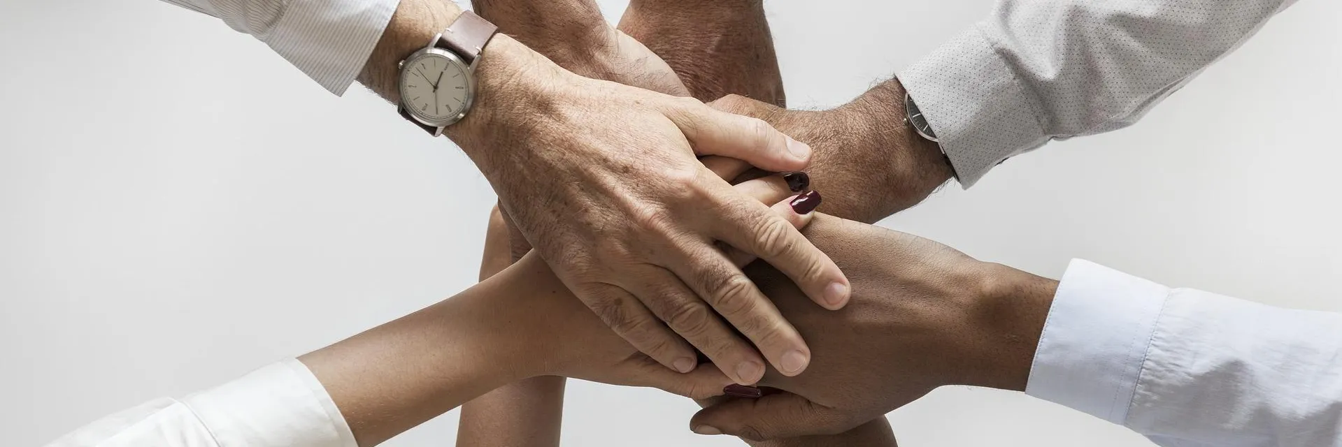 Les informations sur notre équipe